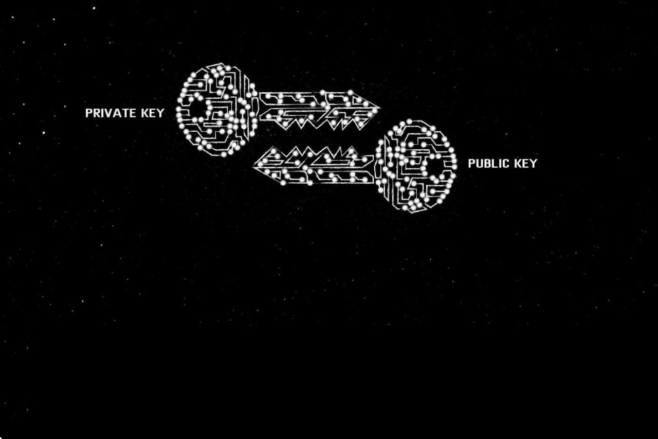 Build Transparency and Trust with Encryption
